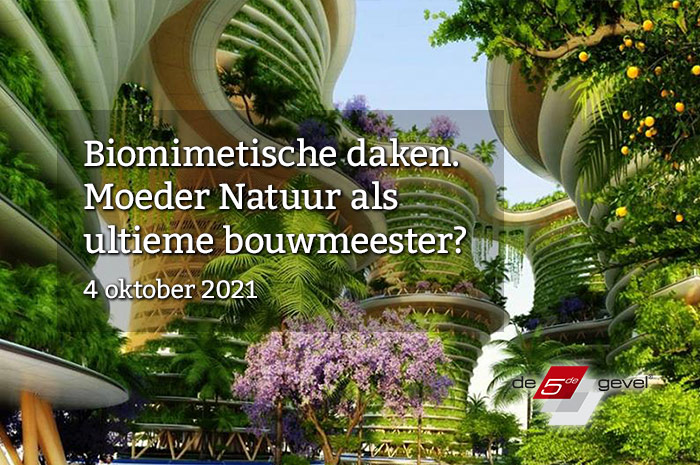 VIJF-web-thumbnail-biomimetische-daken-04-10-2021.jpg